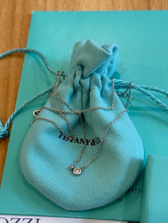Tiffany & Co. Jewelry - Tiffany & Co. Elsa Peretti Diamond Bezel Necklace, Diamonds by the Yard. Silver
